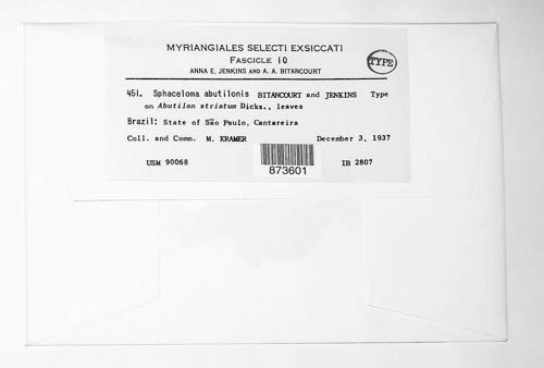 Elsinoe abutilonis image
